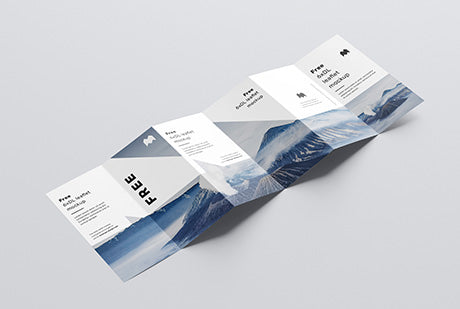 Free 6Xdl Leaflet Mockup