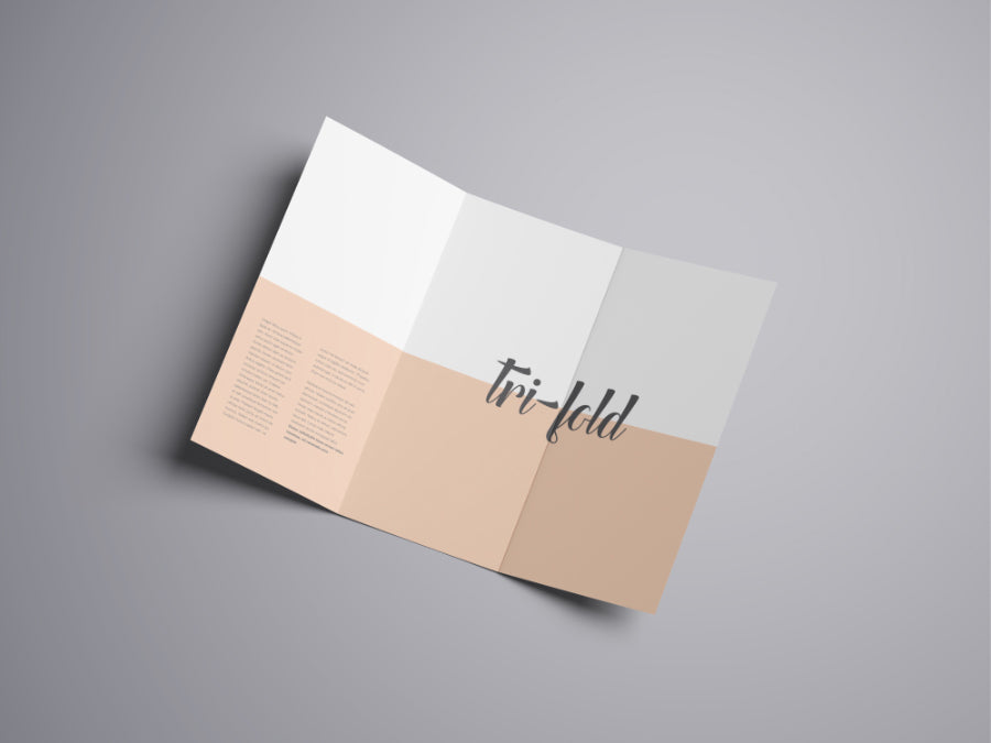 Free Massive Set of Advanced Trifold Brochure Mockups