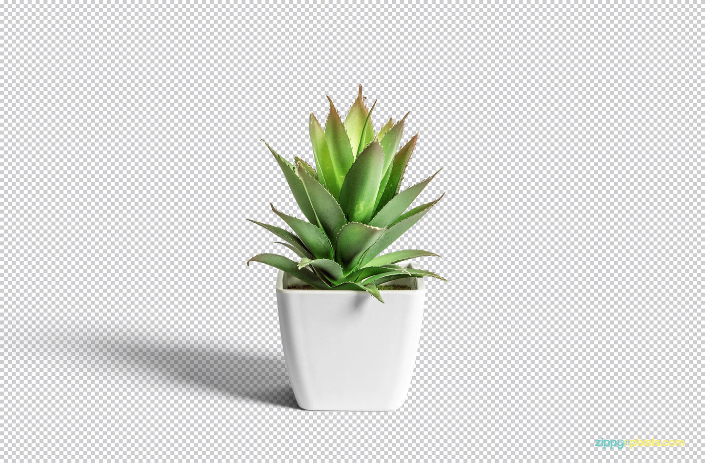 Free Flower Pot Mockup