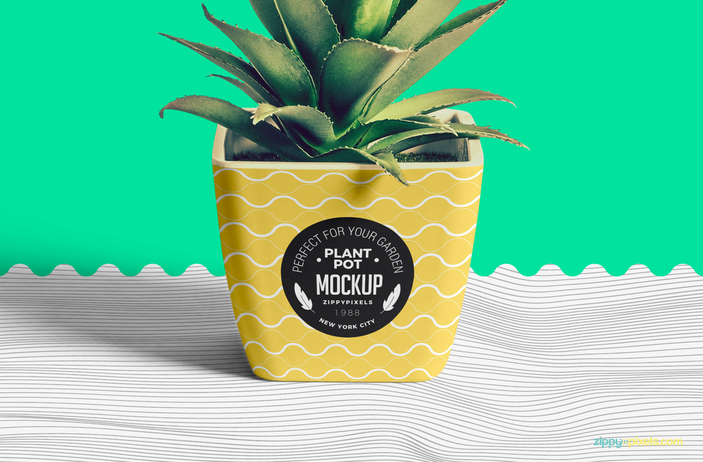 Free Flower Pot Mockup