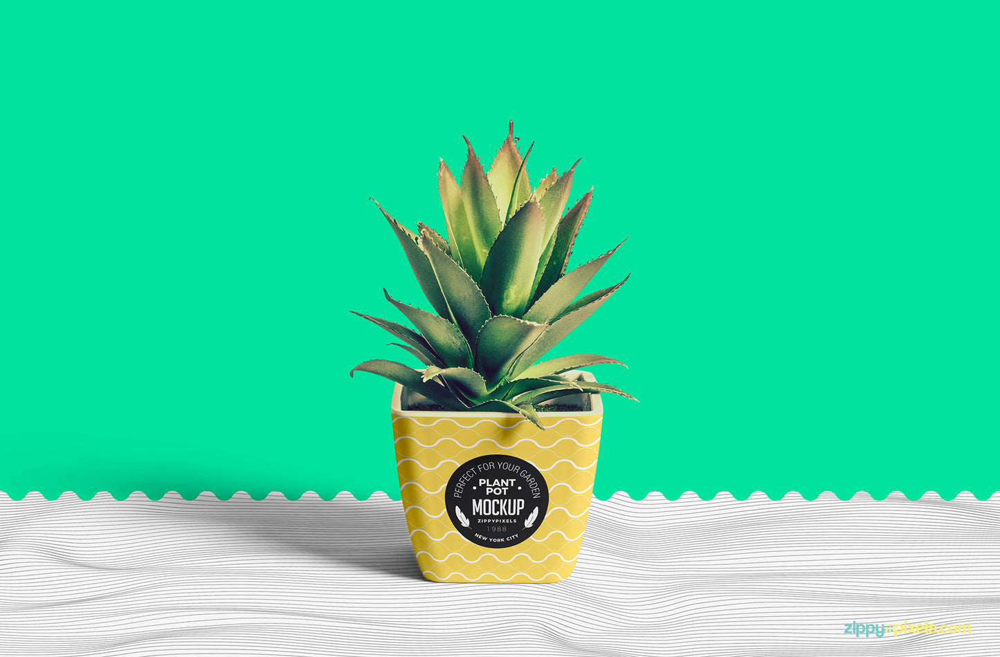 Free Flower Pot Mockup