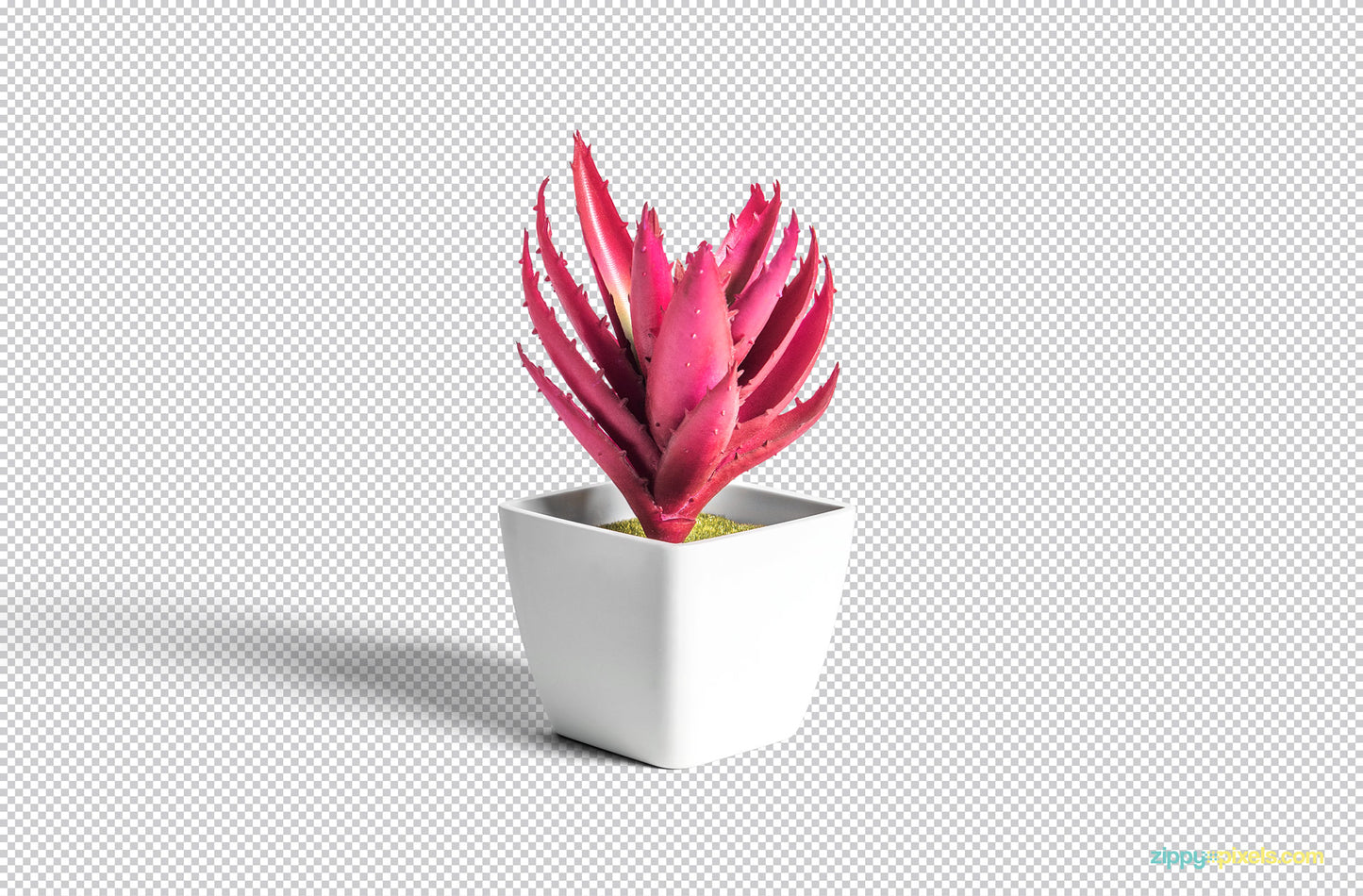 Free Plant Pot Mockup