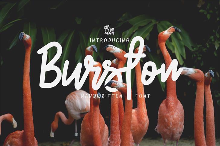 Free Burston Font