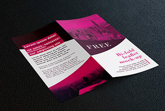 Free Bi Fold Dl Leaflet Mockup