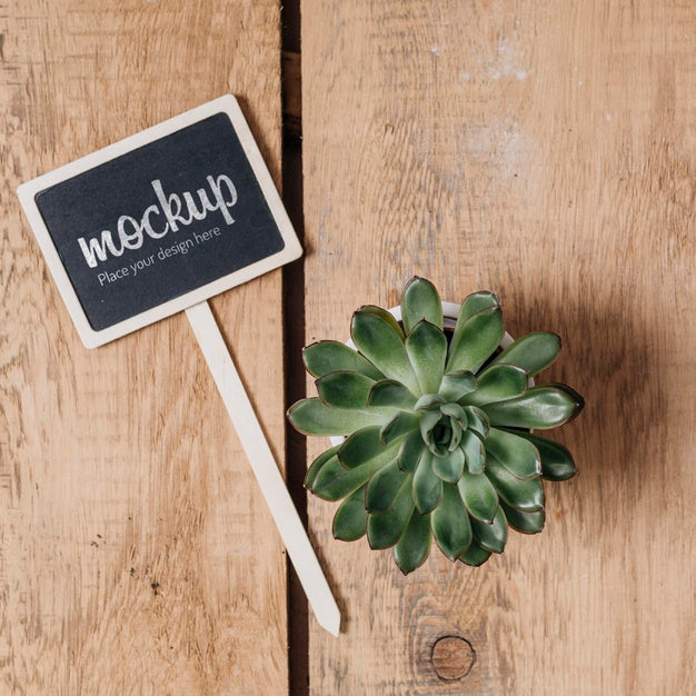 Free Blackboard Mock-Up With Beautiful Plant Psd