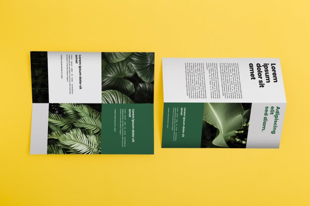 Free Brochure Concept Mock-Up Psd