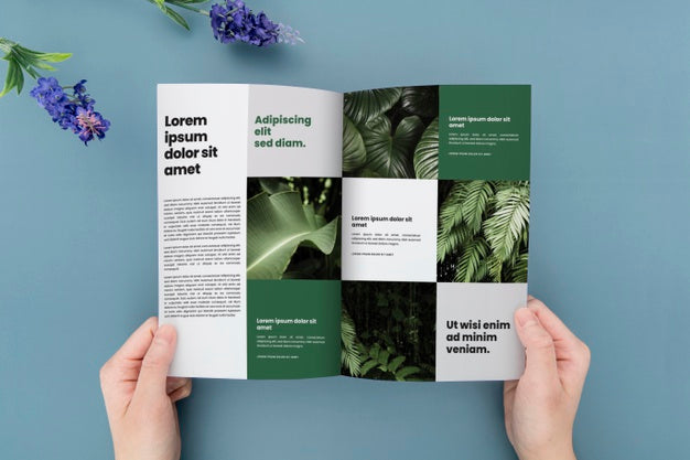 Free Brochure Concept Mock-Up Psd