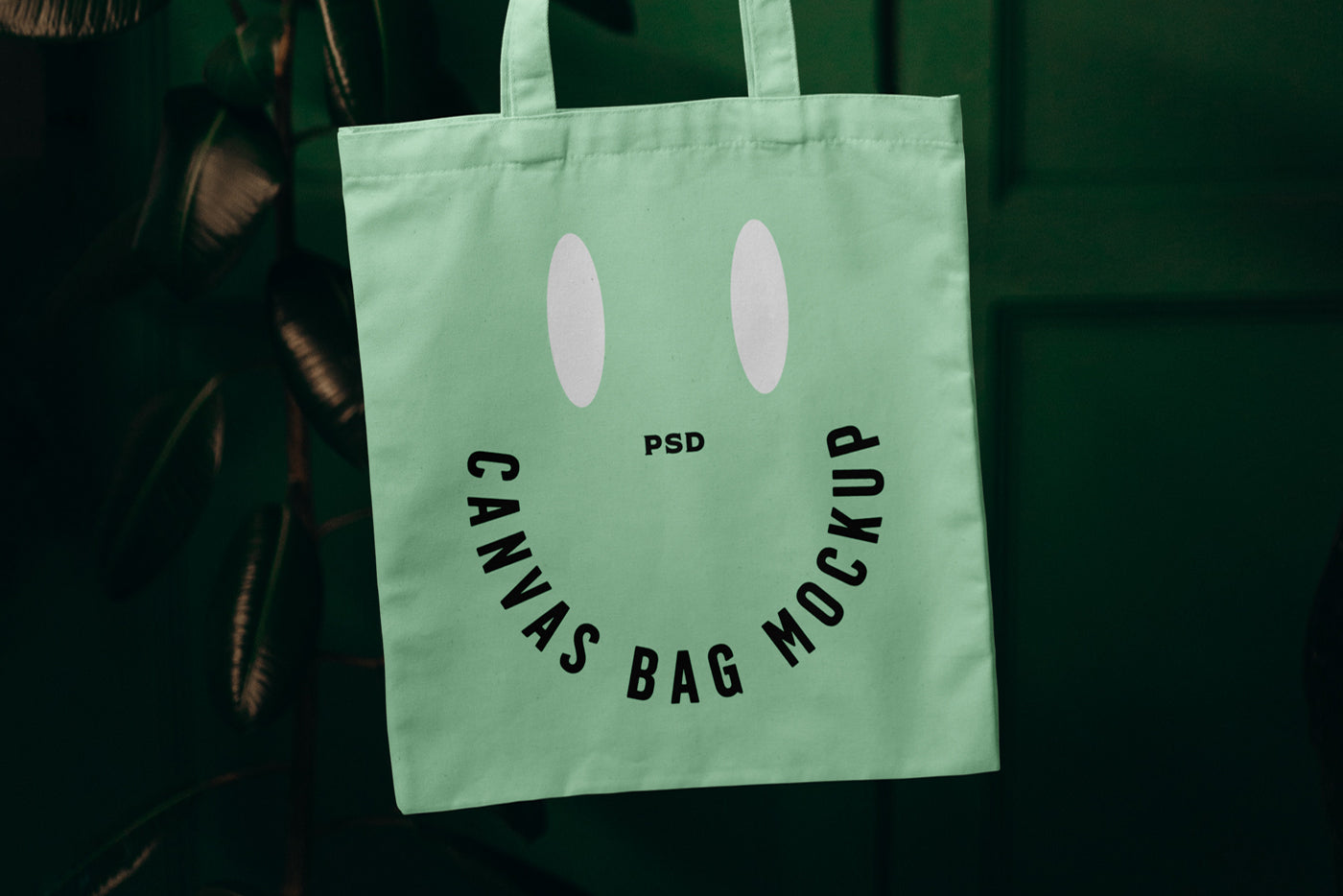 Free Canvas Bag In Leaving Room Mockup