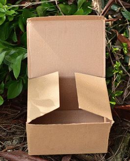 Free Cardboard Box Mockup