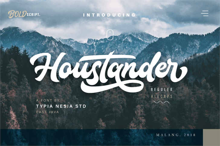 Free Houstander Font