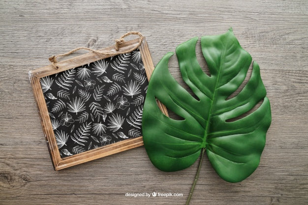 Free Chalkboard And Leaf Psd