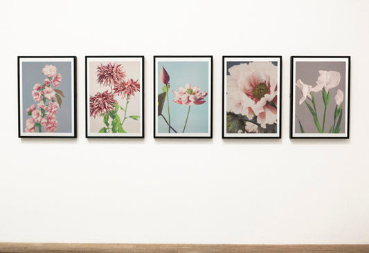 Free Collection Of Floral Art Pieces On A Wall Psd