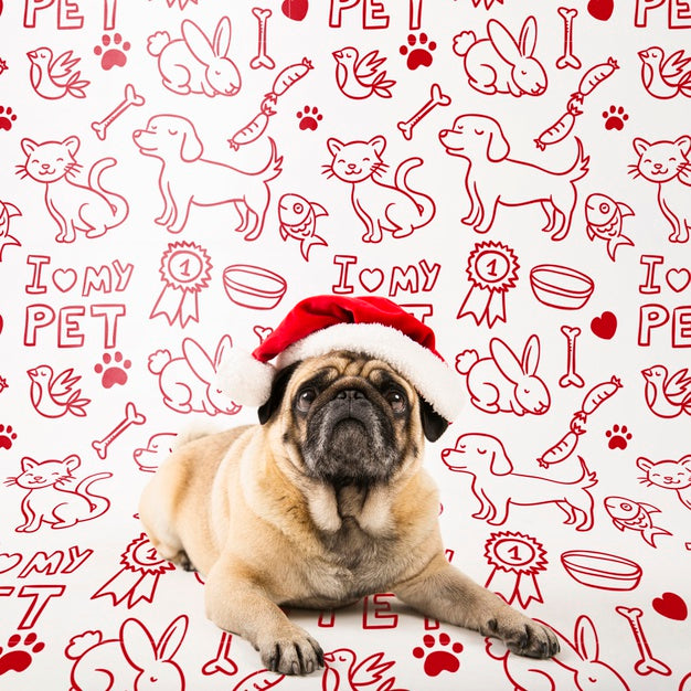 Free Cute Dog Wearing Santa Claus Hat Psd