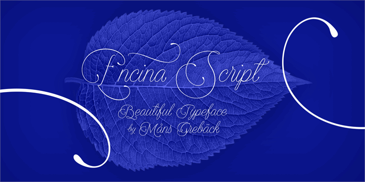 Free Encina Script 2 Font