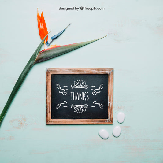 Free Decorative Botanical Mockup With Slate And Plant Psd