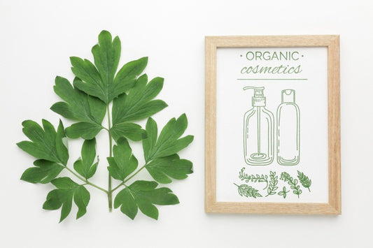 Free Decorative Frame Concept Mock-Up Psd