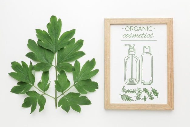 Free Decorative Frame Concept Mock-Up Psd