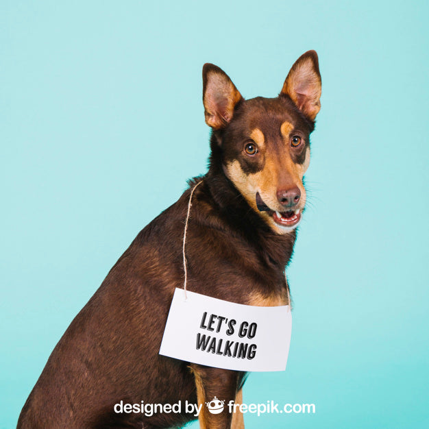 Free Dog Mockup With Signage Psd