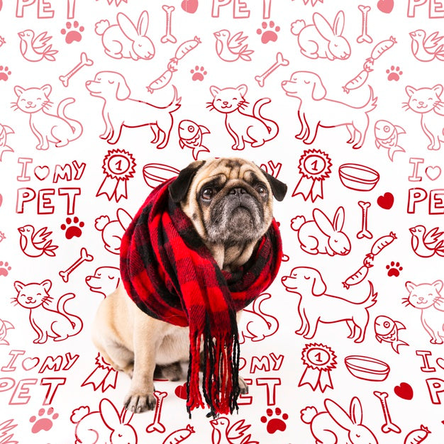 Free Domestic Pet Wearing Winter Shawl Psd