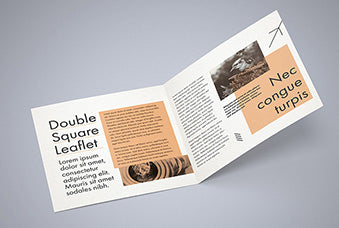 Free Double Square Leaflet Mockup