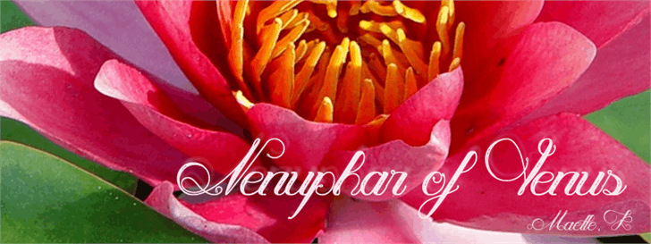 Free Nenuphar of Venus Font