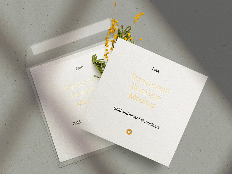 Free Envelope & Card Mockup