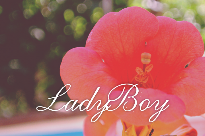 Free Lady Boy Typeface