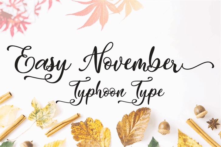 Free Easy November Font