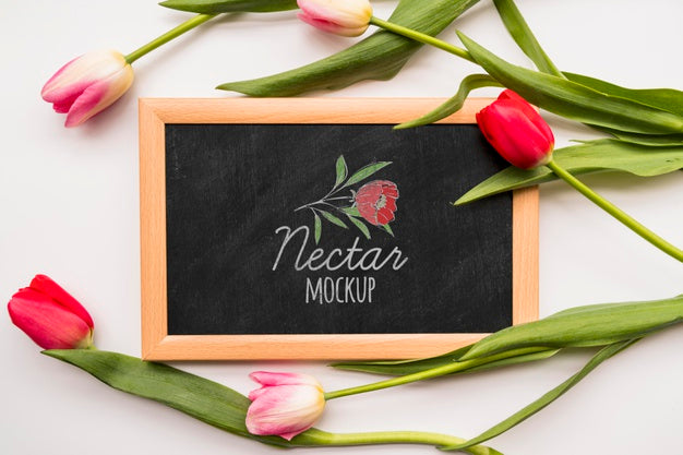 Free Flat Lay Flowers On Blackboard Psd