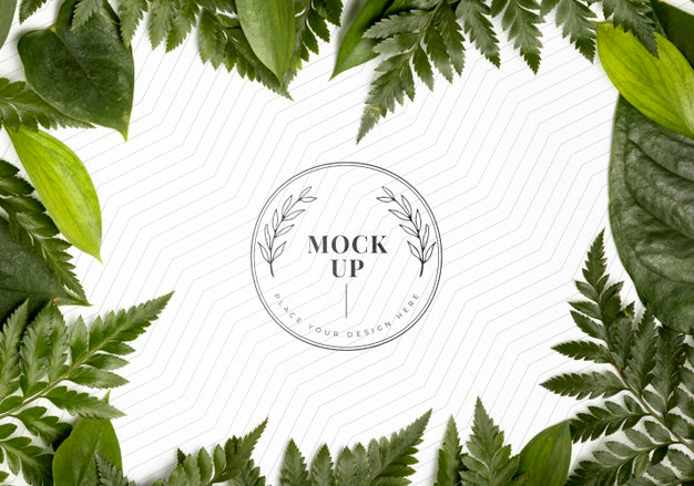 Free Flat Lay Of Foliage Frame Mock-Up Psd