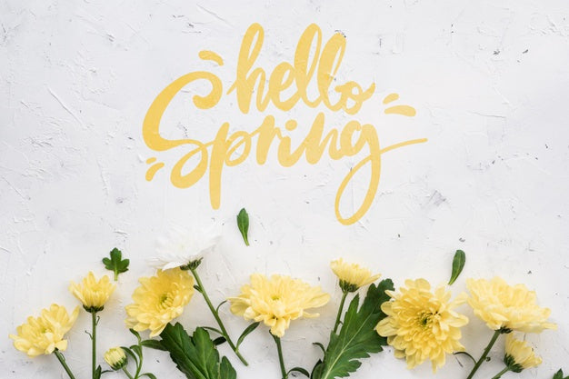 Free Flat Lay Of Spring Daisies Psd