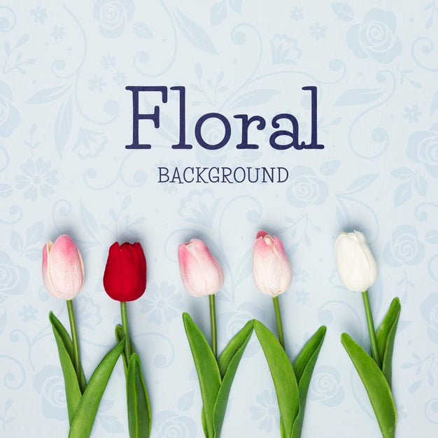 Free Flat Lay Of Spring Tulips Psd