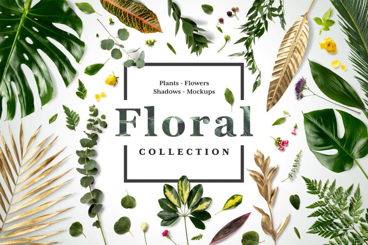 Free Floral Mockup Scene