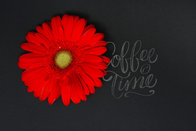 Free Flower On Blackboard Psd