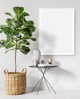 Free Flower Pot Back Wall Poster Mockup