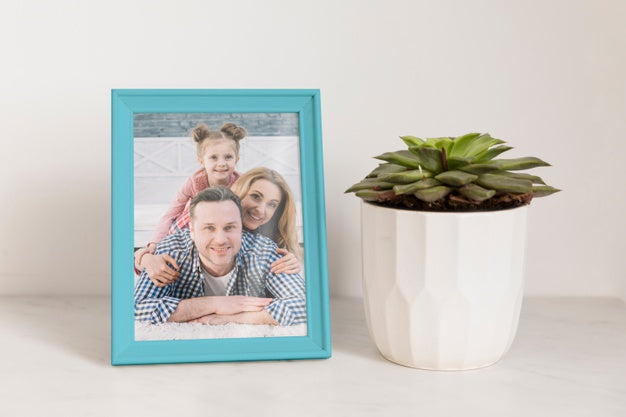 Free Frame Mockup Next To A Plant Psd