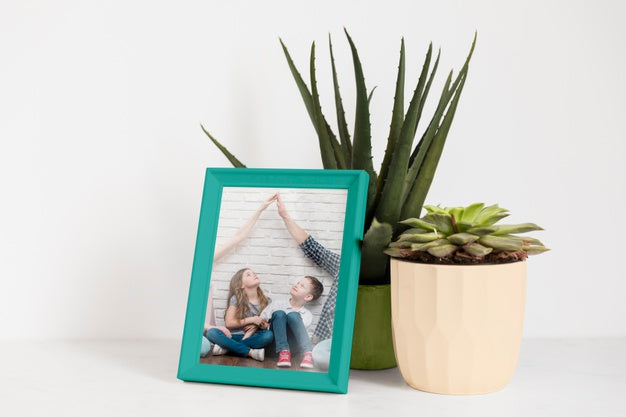 Free Frame Mockup Next To A Plant Psd