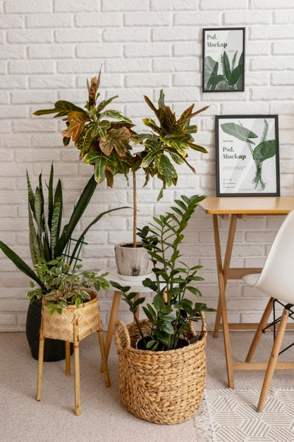 Free Frame Mockup Surrounded By Plants Psd