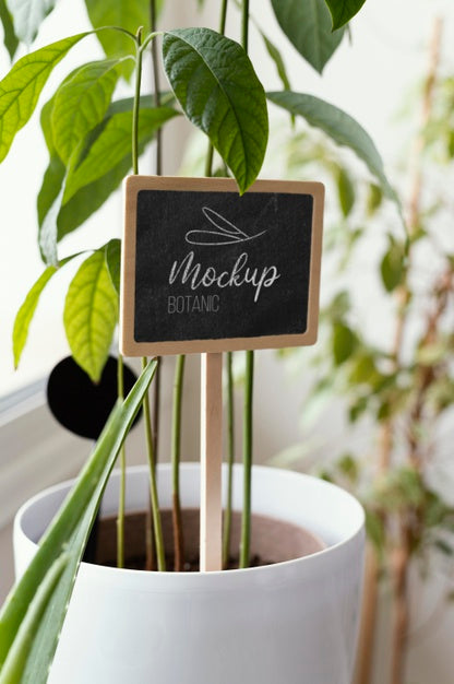 Free Indoor Vegetation Planting Mock-Up Psd