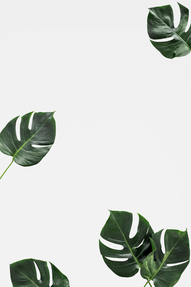 Free Leaf Mockup Background Psd