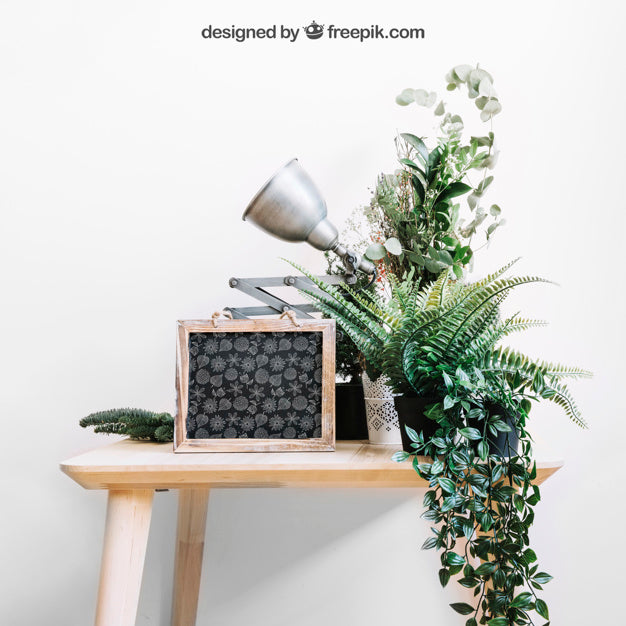 Free Mockup Of Slate And Plants On Table Psd