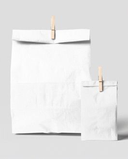 Free Paper Bag Mockup