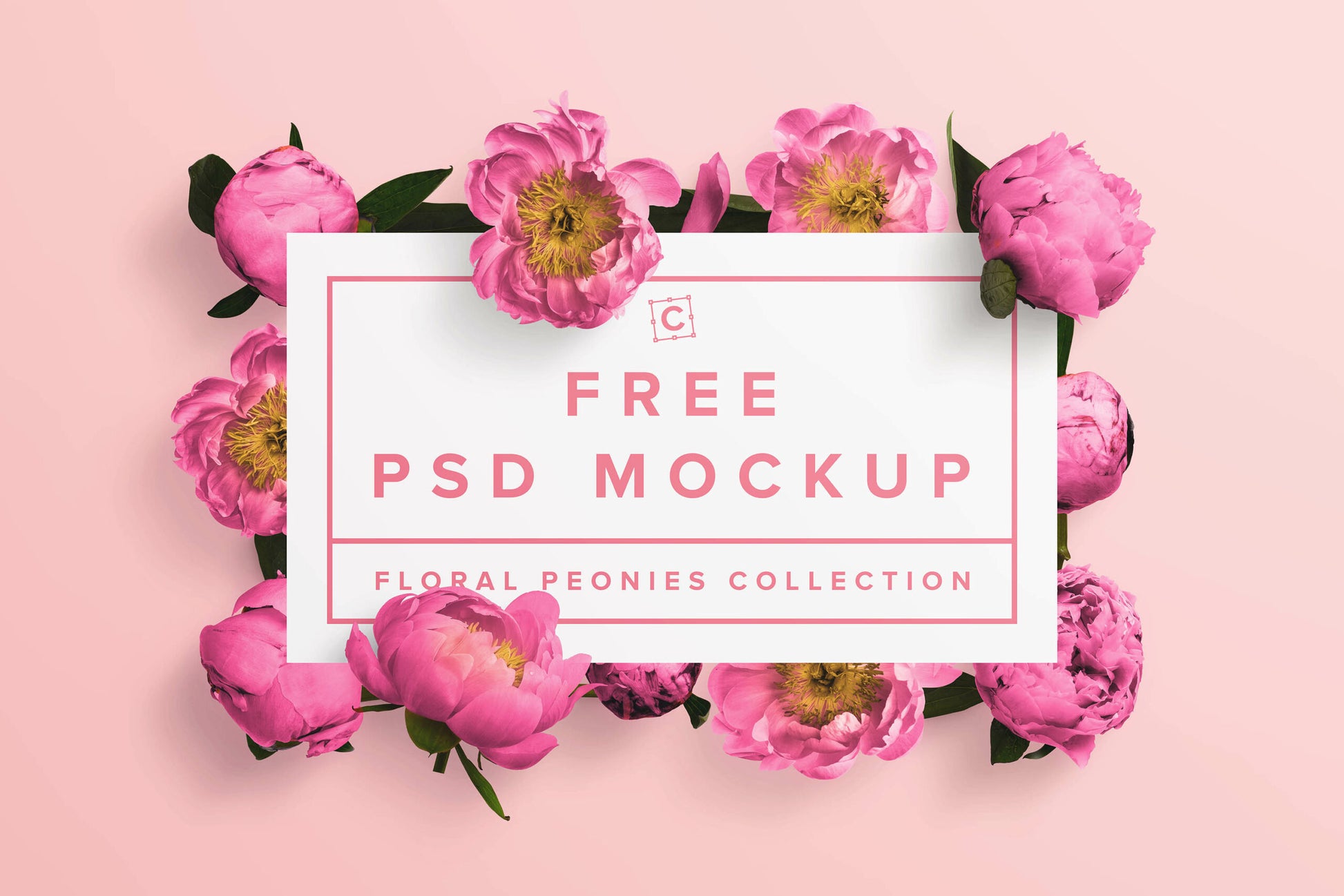 Free Peonies Frame Psd Mockup