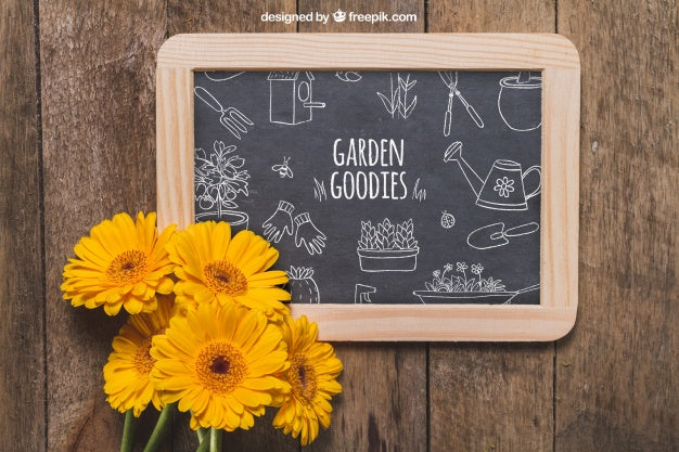 Free Slate And Flower Decoration Psd