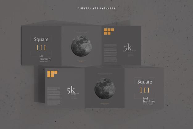 Free Square Tri Fold Brochure Mockup Psd