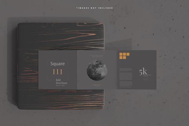 Free Square Tri Fold Brochure Mockup Psd