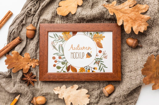 Free Top View Frame And Acorns Psd