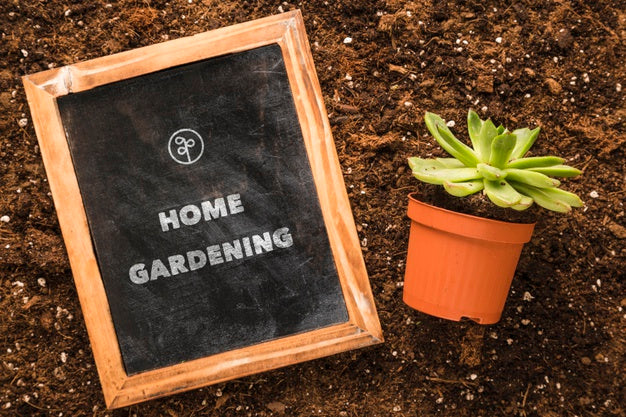 Free Top View Of Blackboard On Soil With Plant Psd