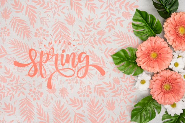 Free Top View Of Spring Daisies With Other Flowers Psd