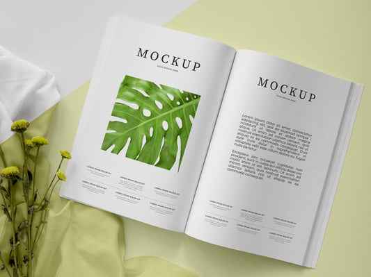 Free Top View Open Magazine And Plant Assortment Psd